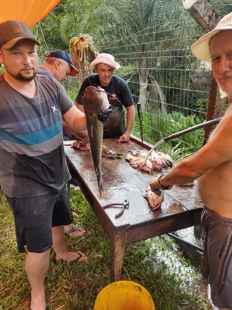 Feira do Peixe de Sinimbu comercializa 500 quilos