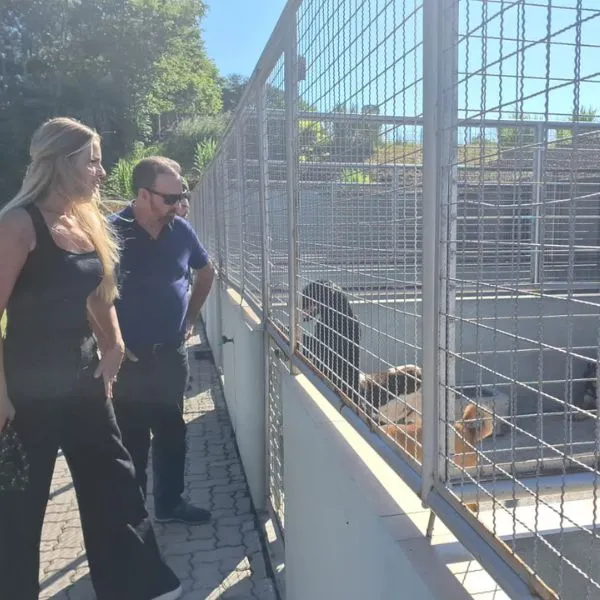 Centro de Bem-Estar abre as portas e 18 animais ganham novos lares