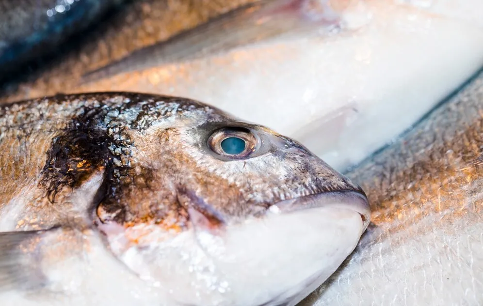 Feira do Peixe da Semana Santa acontece no dia 17