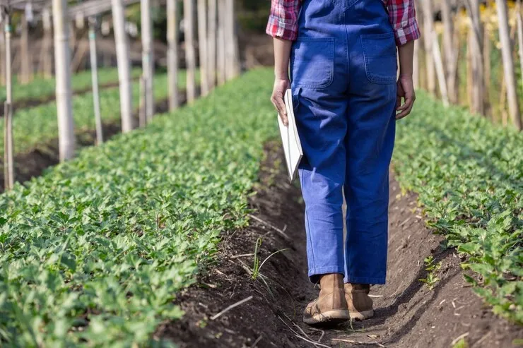 Herveiras prepara 2º Encontro das Agricultoras Familiares